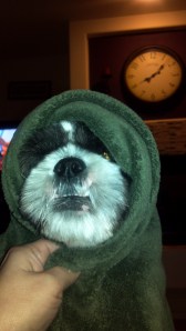 2013-02-20_20-07-50_317