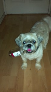 2013-06-27_22-07-03_320